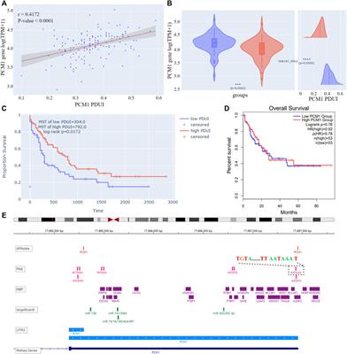 APAview: A web-based platform for alternative polyadenylation analyses in hematological cancers